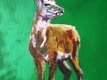 Red deer