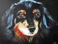Dog in acrylic
