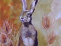 teasel hare small.JPG