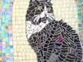 Echo mosaic