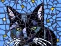 Black cat