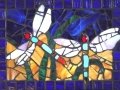 dragonflies 1